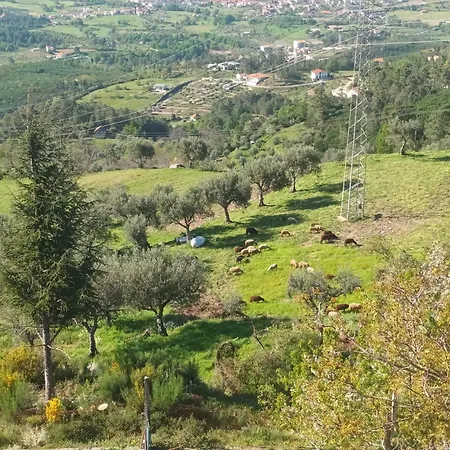 Apartament Casas Do Castelo Aldeia da Serra (Guarda)
