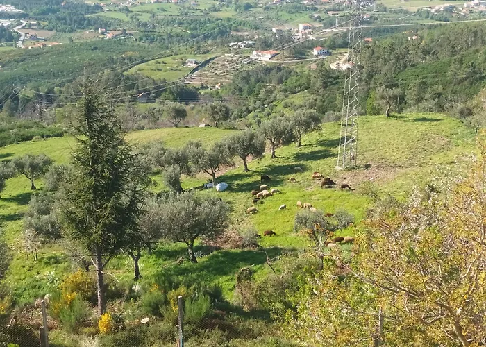 Apartamento Casas Do Castelo Aldeia da Serra (Guarda)